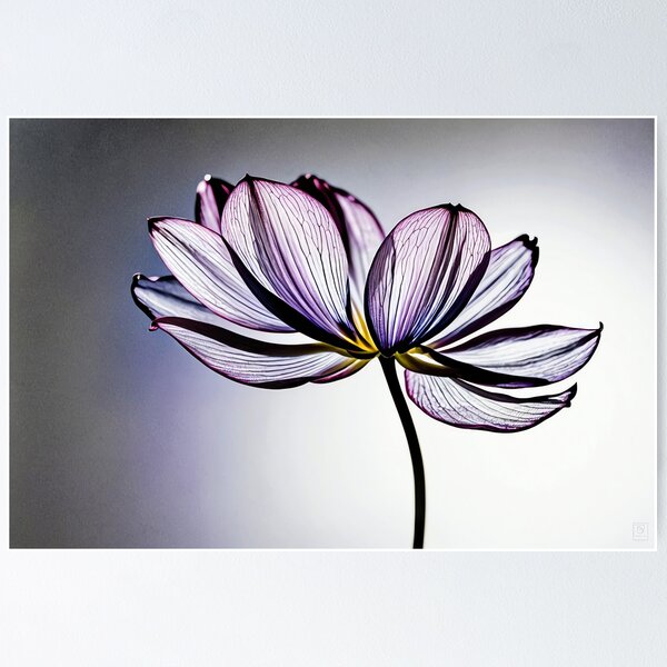 Unfurling Serenity Poster