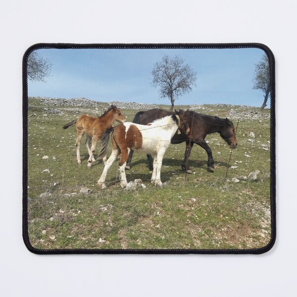 Item preview, Foals' Play in the Heart of Gargano designed and sold by EpicVistas.