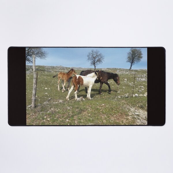 Item preview, Foals' Play in the Heart of Gargano designed and sold by EpicVistas.