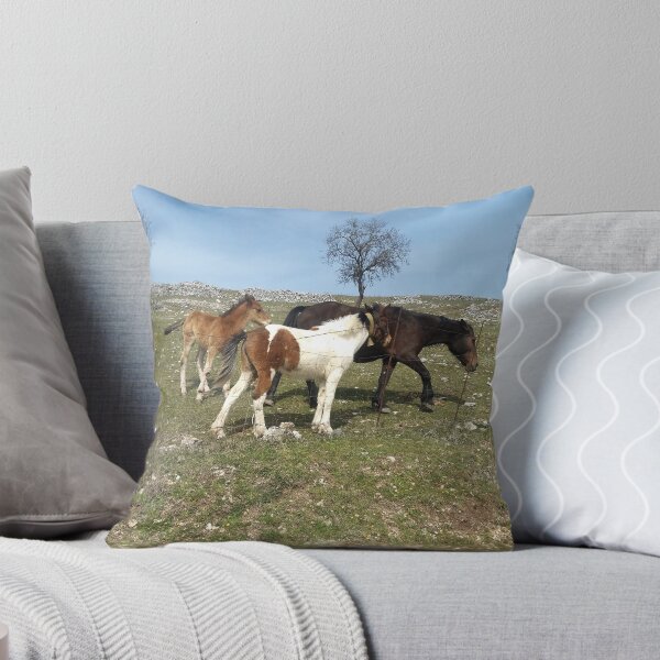 Item preview, Foals' Play in the Heart of Gargano designed and sold by EpicVistas.