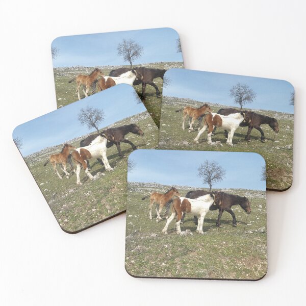 Item preview, Foals' Play in the Heart of Gargano designed and sold by EpicVistas.