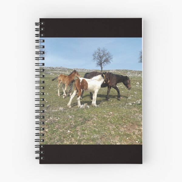 Item preview, Foals' Play in the Heart of Gargano designed and sold by EpicVistas.