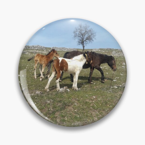 Item preview, Foals' Play in the Heart of Gargano designed and sold by EpicVistas.