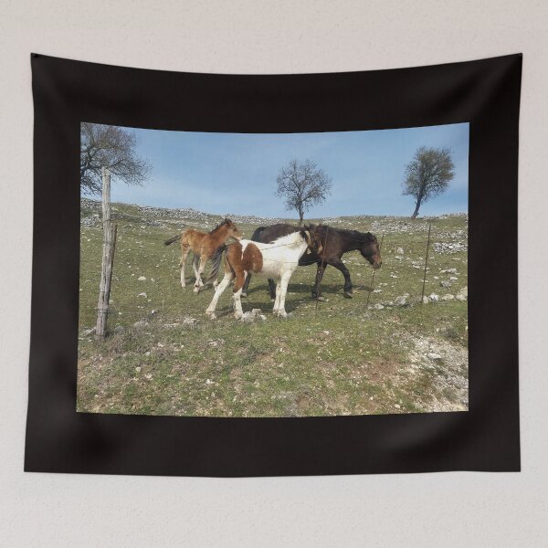 Item preview, Foals' Play in the Heart of Gargano designed and sold by EpicVistas.