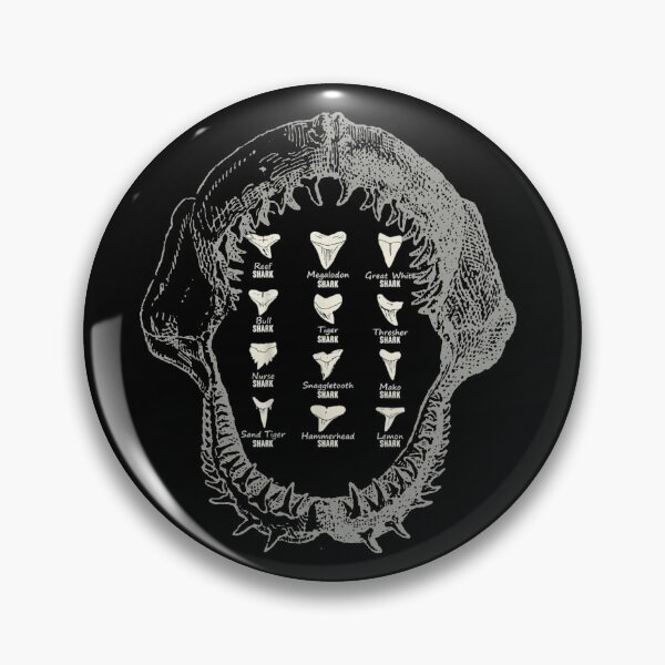 Item preview, Vintage Shark Teeth Collector Shark Tooth Fossils For Men and Women  designed and sold by Design 91maji.