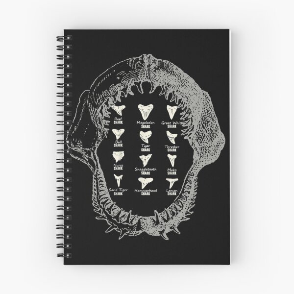 Item preview, Vintage Shark Teeth Collector Shark Tooth Fossils For Men and Women  designed and sold by Design 91maji.