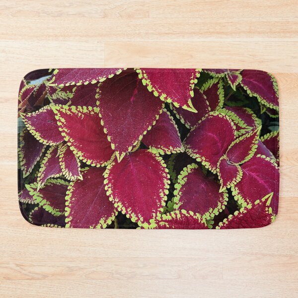 Item preview, Tropical Beauty, coleus, perennial, purple, plant designed and sold by Wiggly Lines.