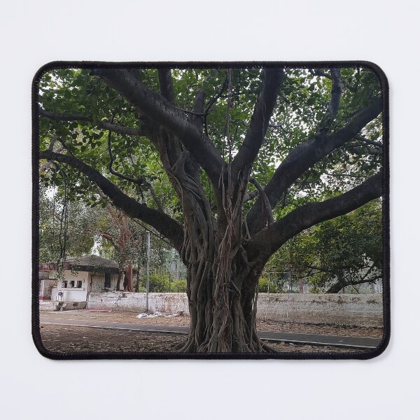 Item preview, Peepal Tree of Ficus Religiosa or Sacred Fig designed and sold by Wiggly Lines.