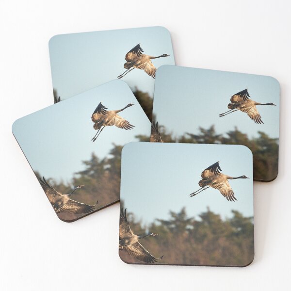 Item preview, departure designed and sold by Andreas Koerner.