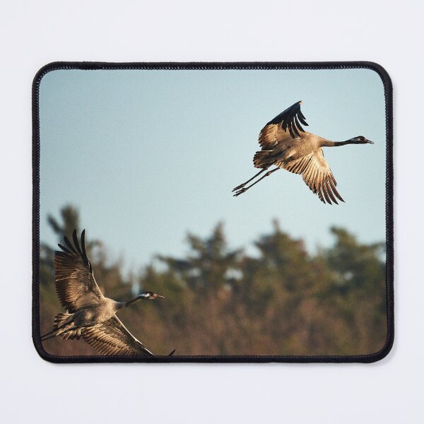Item preview, departure designed and sold by Andreas Koerner.