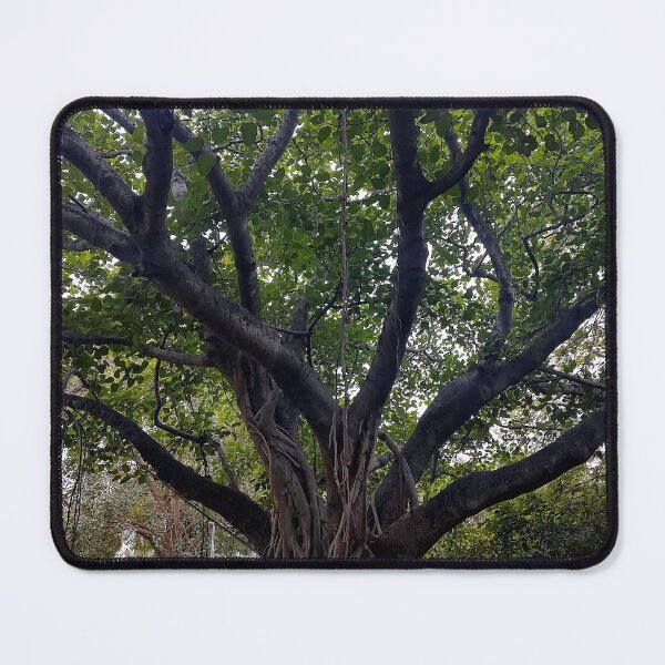 Item preview, Peepal Tree of Ficus Religiosa or Sacred Fig designed and sold by Wiggly Lines.