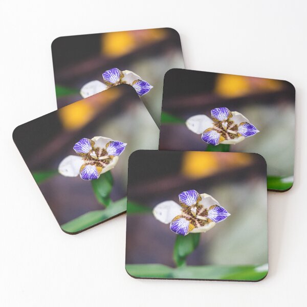 Item preview, purple flowers of Trimezia candida, synonym Neomarica candida, also known as white walking iris, Planted. designed and sold by MiMee4451.