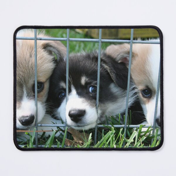 Item preview, Pembroke Welsh Corgi Puppies designed and sold by Lisza Anne McKee.