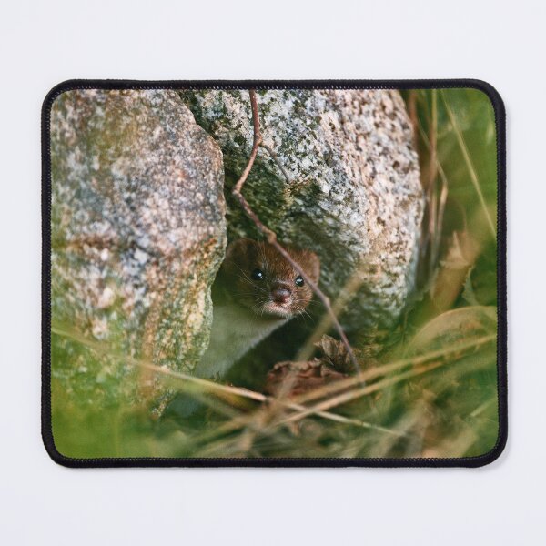 Item preview, "Hello" designed and sold by Andreas Koerner.