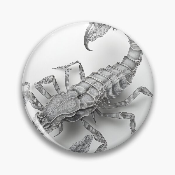 Item preview, Black and white Scorpion pencil drawing designed and sold by Pencil-Art.