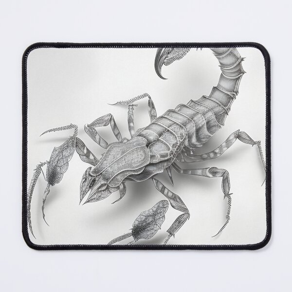 Item preview, Black and white Scorpion pencil drawing designed and sold by Pencil-Art.