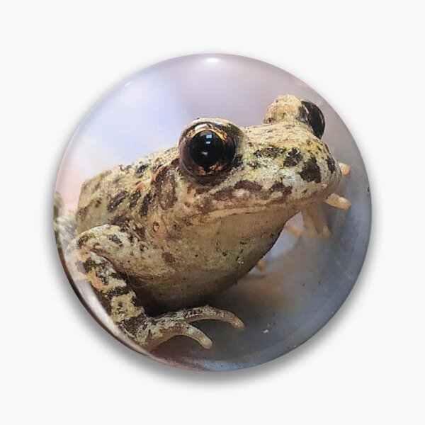 Aperçu de l'œuvre grenouille et fourmi créée et vendue par Stillherex.com Stillherex.es.