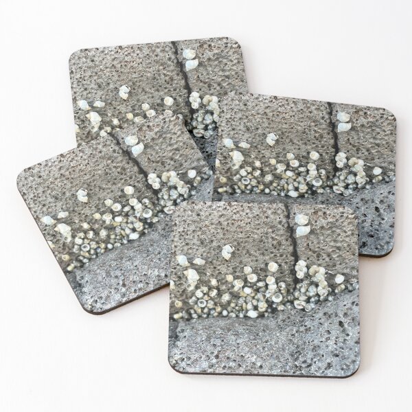 Item preview, Shell colony designed and sold by KimberlyBozeman.