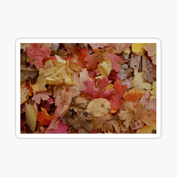 Item preview, Colored Fall Leaves Texture Oak Trees designed and sold by Lisza Anne McKee.