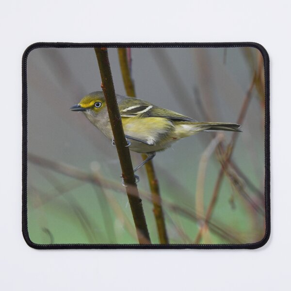 Item preview, A White-eyed Vireo designed and sold by CloserToTheArt.