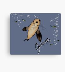Galapagos Sea lion and bubbles Canvas Print