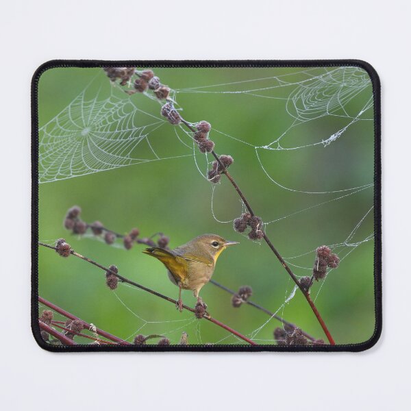 Item preview, A female common yellow-throat. designed and sold by CloserToTheArt.