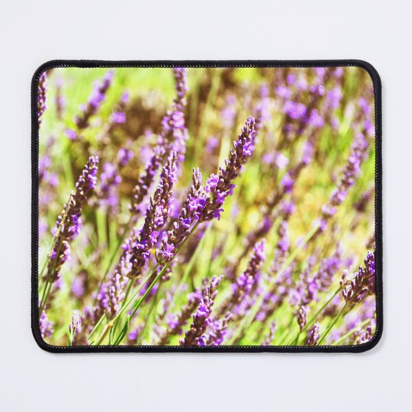 Item preview, Lavender in Provence designed and sold by Tilosparty30.