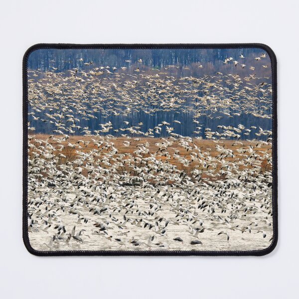 Item preview, Snow Geese At Willow Point designed and sold by Lois  Bryan.