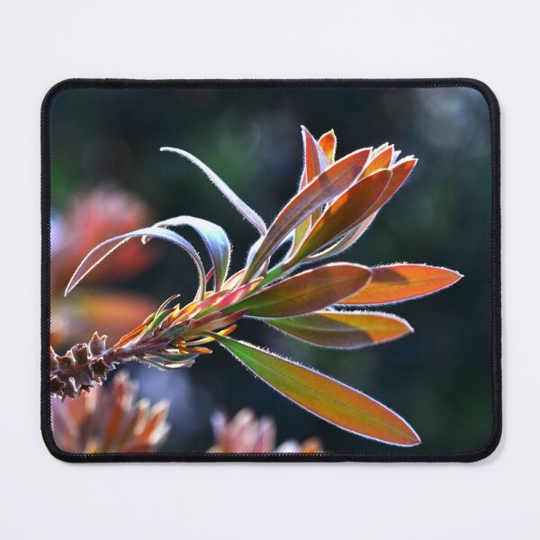 Item preview, Nature designed and sold by Tilosparty30.