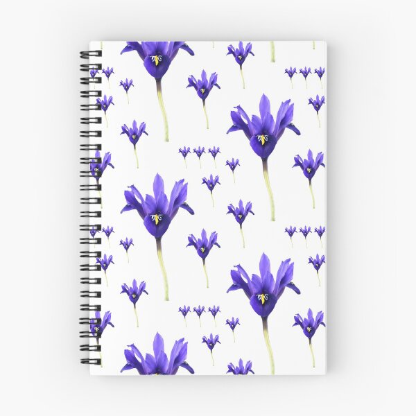Item preview, Iris & # 39; Palm Springs & # 39; Reticulata designed and sold by Chris Burrows.