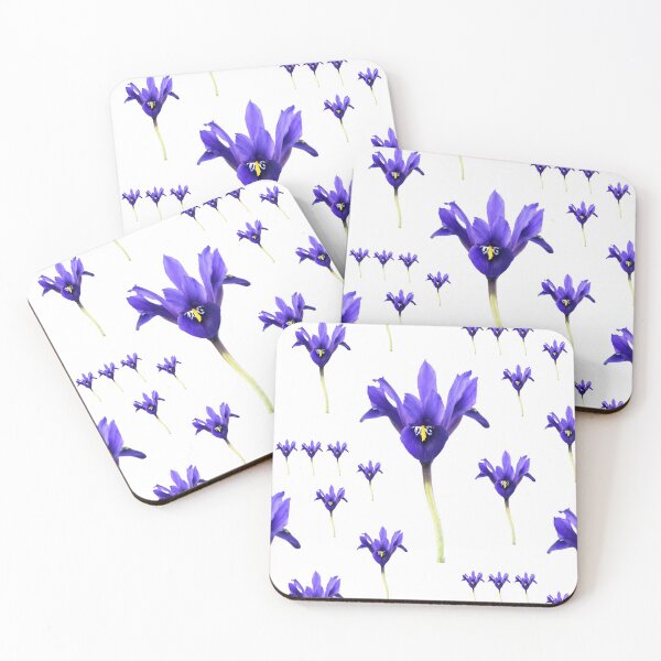 Item preview, Iris  'Palm Springs'  Reticulata   designed and sold by Chris Burrows.