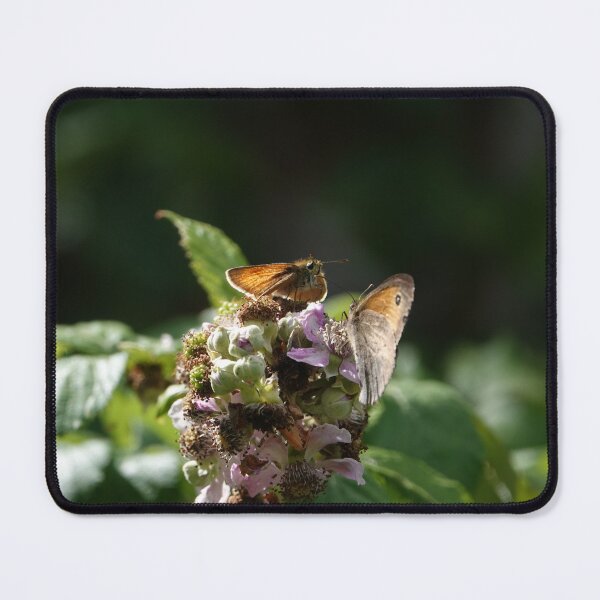 Item preview, Skipper and butterfly designed and sold by frogs123.