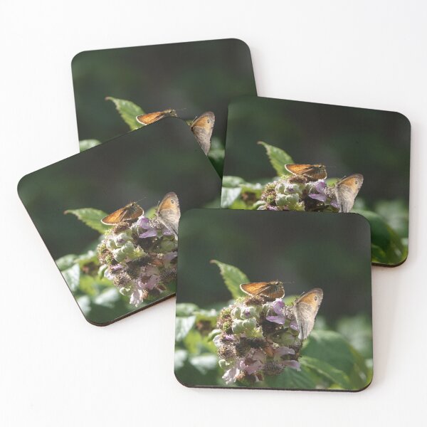 Item preview, Skipper and butterfly designed and sold by frogs123.
