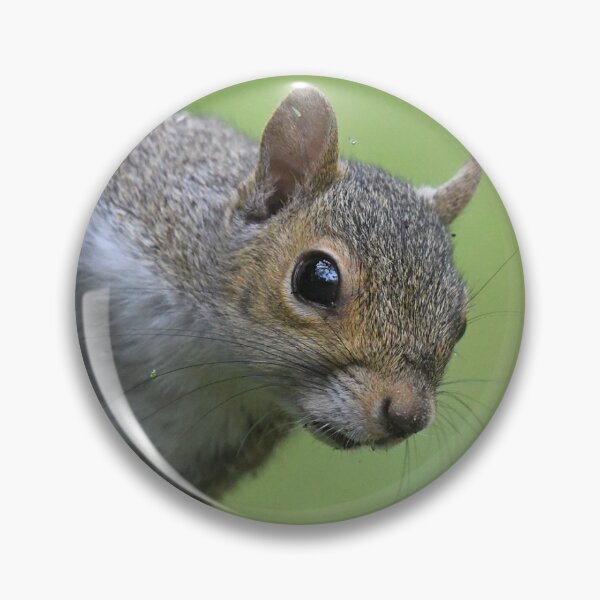 Item preview, Squirrel designed and sold by CloserToTheArt.