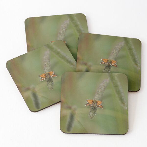 Item preview, Skipper and a rain drop. designed and sold by frogs123.