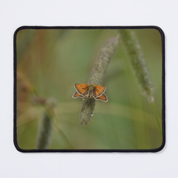 Item preview, Skipper and a rain drop. designed and sold by frogs123.