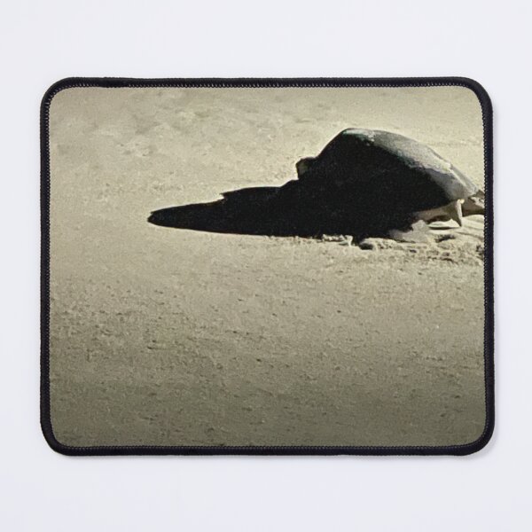 Item preview, Night Turtle designed and sold by Hughes Tahoe Photography.