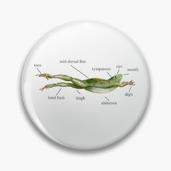 Item preview, get to know your neighborhood frog designed and sold by Your Entire Sense Of Identity.