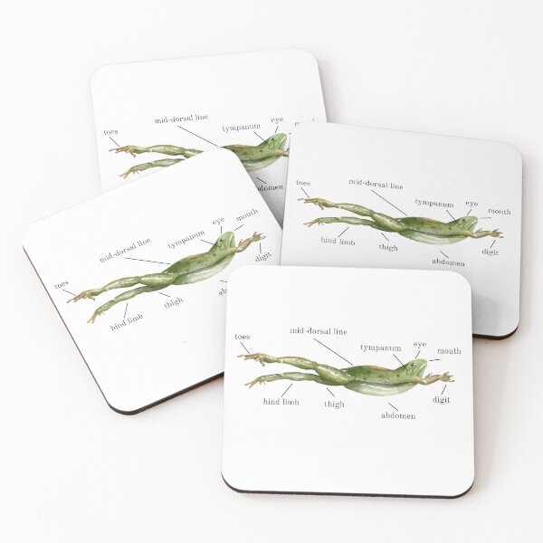 Item preview, get to know your neighborhood frog designed and sold by Your Entire Sense Of Identity.