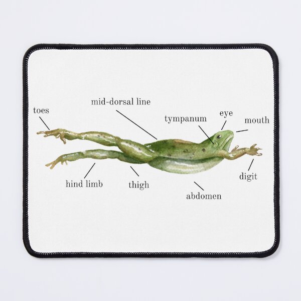 Item preview, get to know your neighborhood frog designed and sold by Your Entire Sense Of Identity.