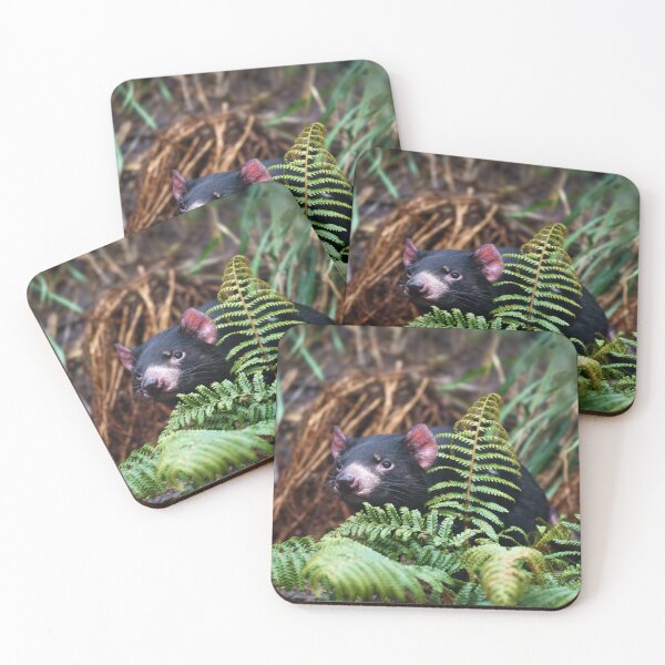 Item preview, Tasmanian Devil Encounter designed and sold by rawshutterbug.