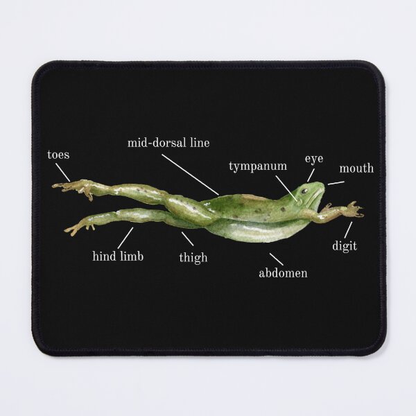 Item preview, Get to know your neighborhood frog designed and sold by Your Entire Sense Of Identity.