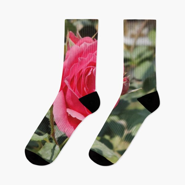 Item preview, Beautiful Pink Rose with Bunch of Leaf In Background designed and sold by DiventCreations.