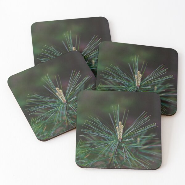 Item preview, Pine Tree Plants designed and sold by Mooretography.