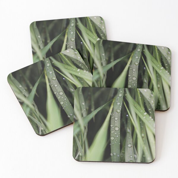 Item preview, Plant Hydration designed and sold by Mooretography.