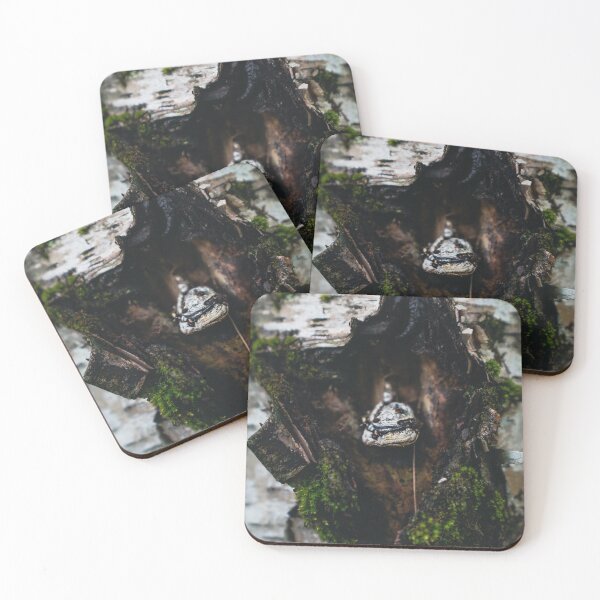 Item preview, Emerge designed and sold by Mooretography.