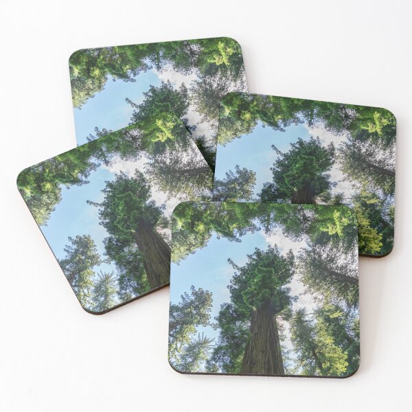 Item preview, Look Up! designed and sold by Mooretography.