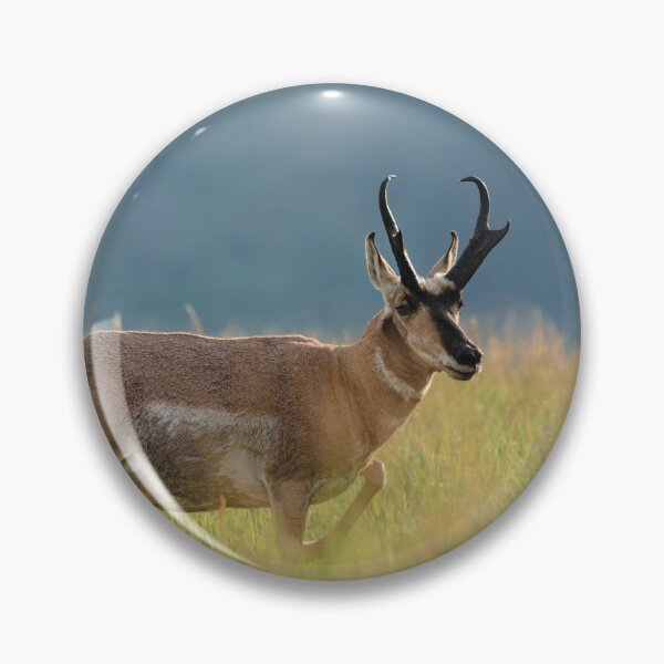 Item preview, Natural Habitat designed and sold by Mooretography.