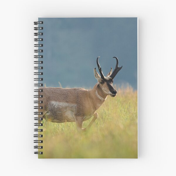 Item preview, Natural Habitat designed and sold by Mooretography.