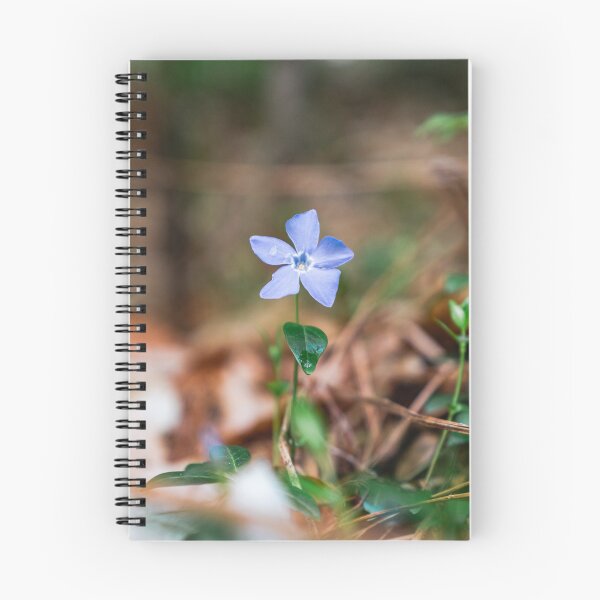Item preview, Spring has Sprung designed and sold by Mooretography.